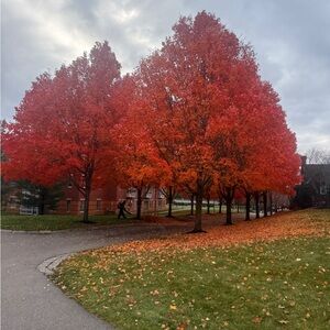 Meet your Posher, KB